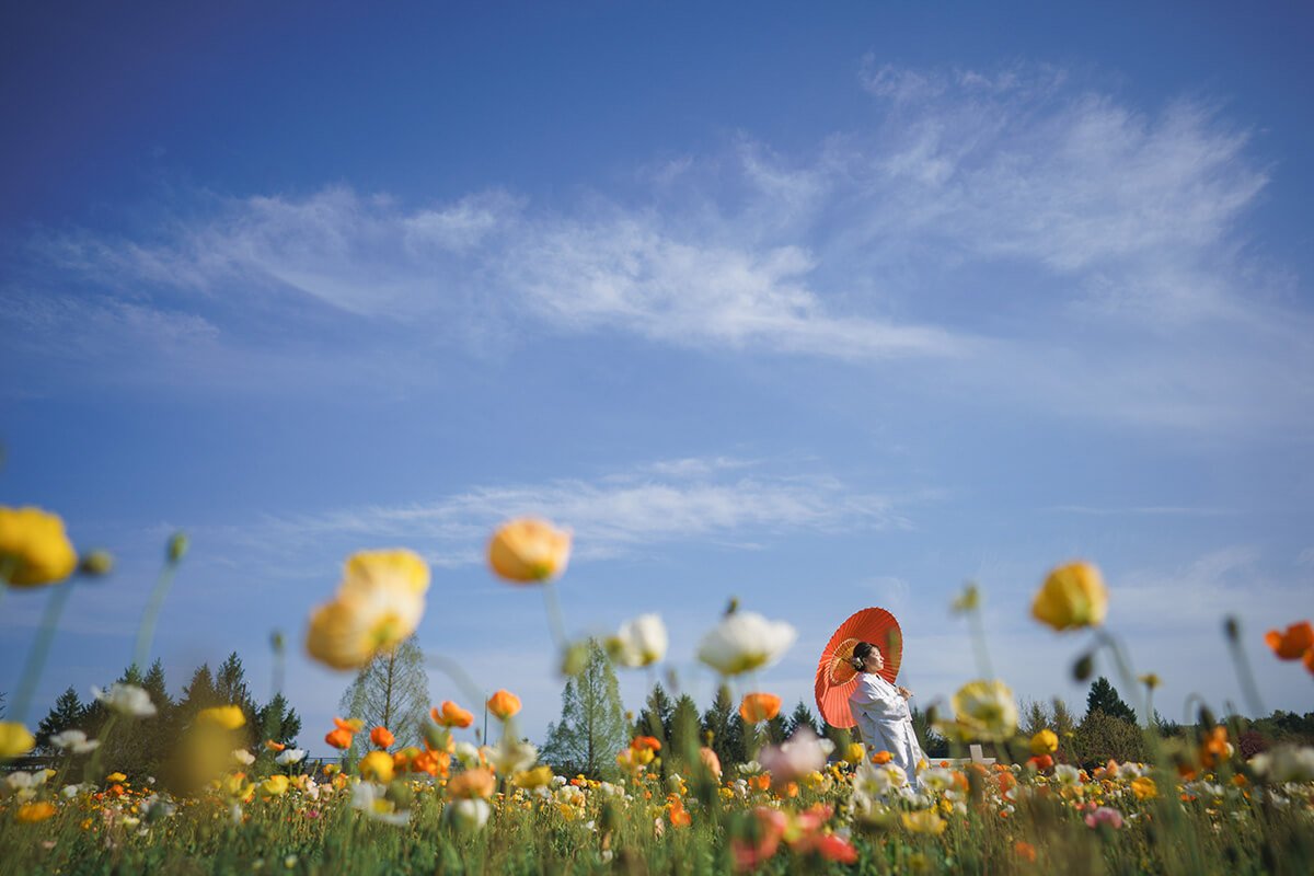 🌳 국영 비호쿠 언덕 공원(고쿠에이 비호쿠 규료코엔) 이미지 7